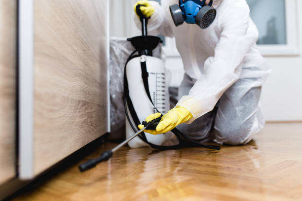 Best Pest Removal Services  in Yazoo City, MS