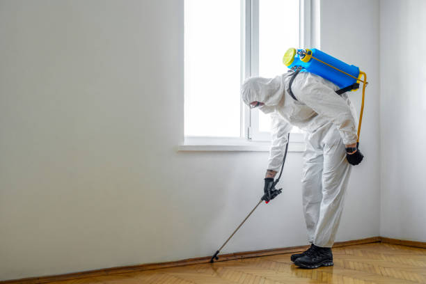 Best Wasp Removal Services  in Yazoo City, MS