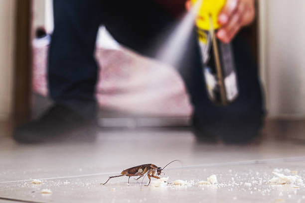 Professional Pest Control in Yazoo City, MS